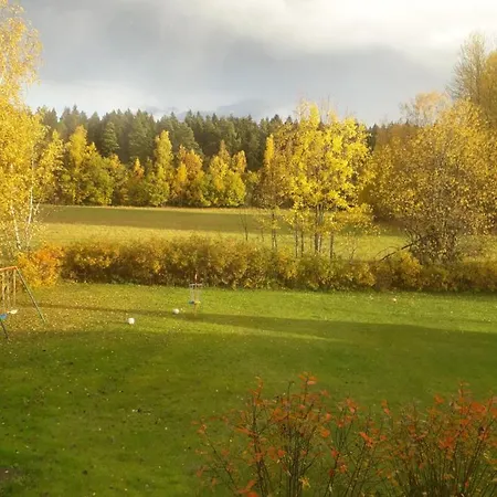 Sikosaaren Aitta Inn *