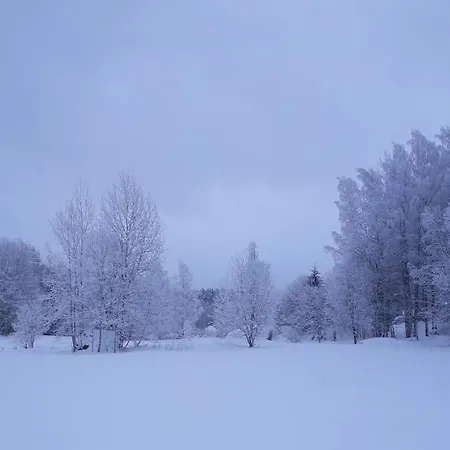 Inn Sikosaaren Aitta *